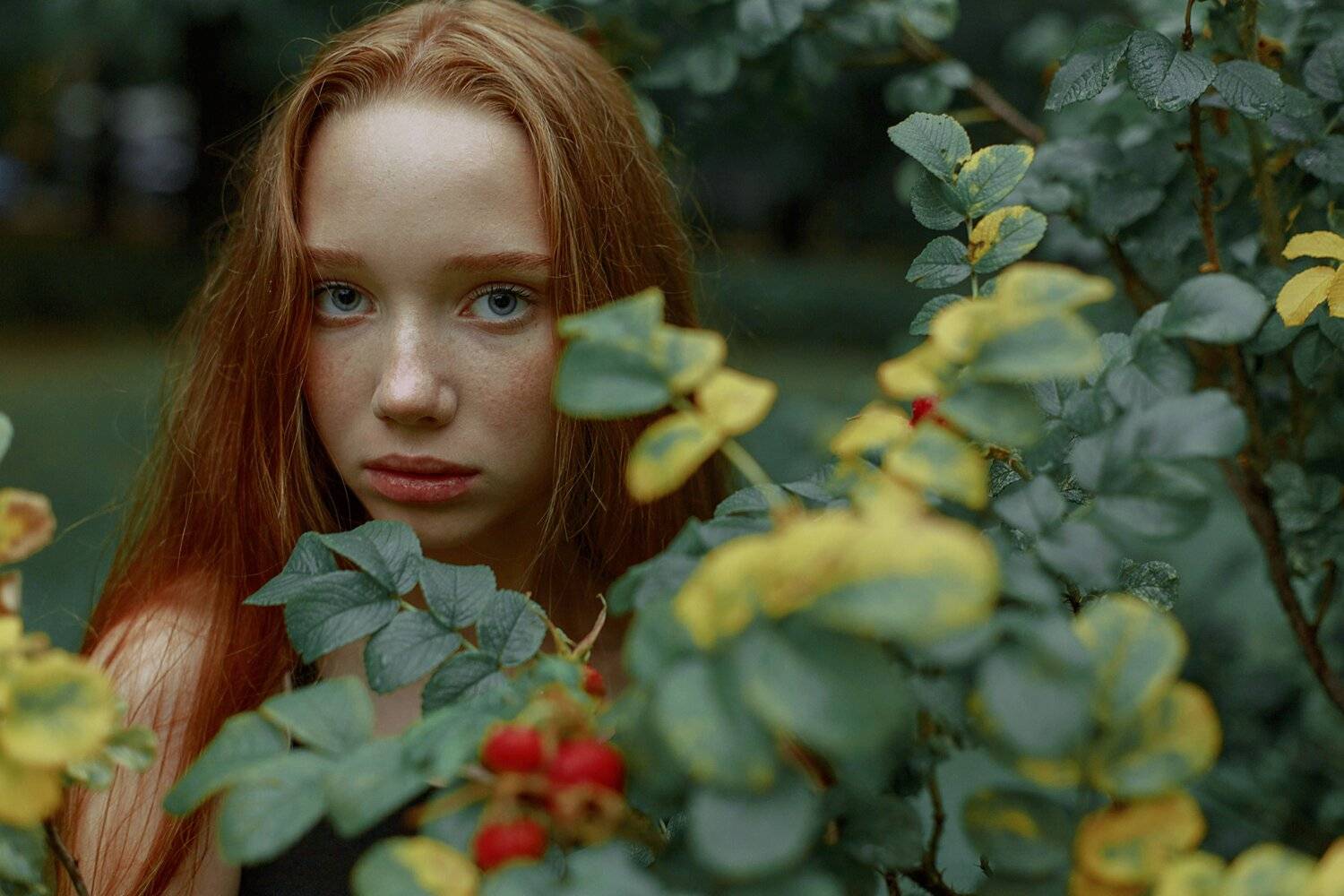 портрет, Marie Dashkova