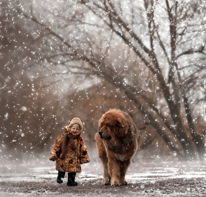 фото превью