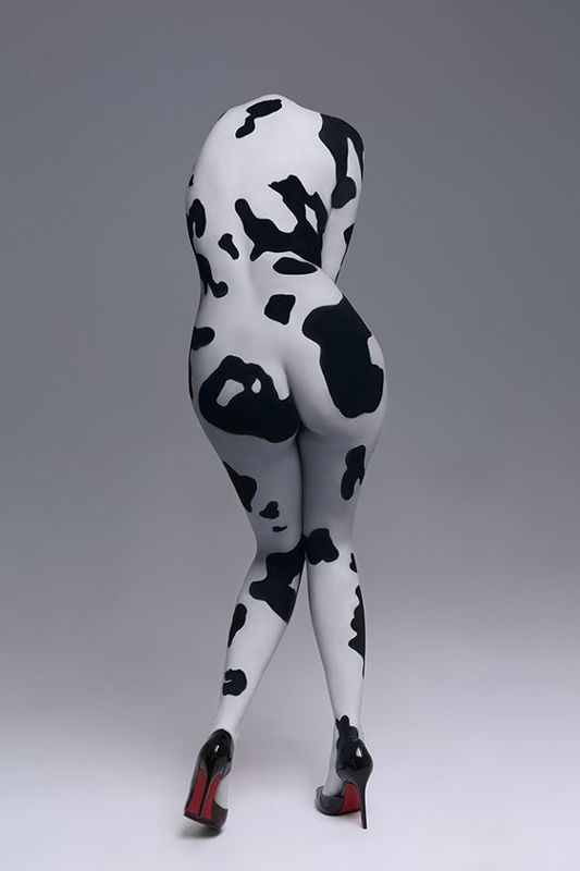 Cow фото превью