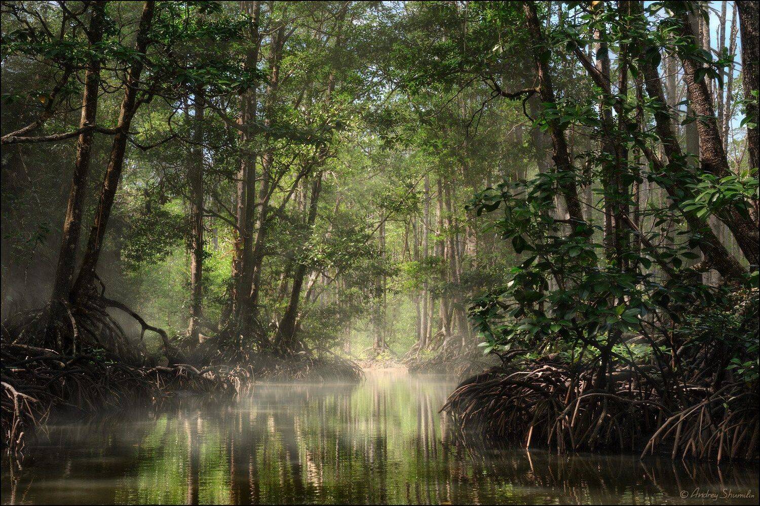 , Андрей Шумилин