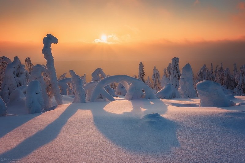 Утро в уральских джунглях фото превью