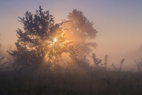 Утренняя звезда