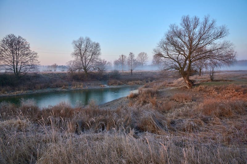 Morning... фото превью