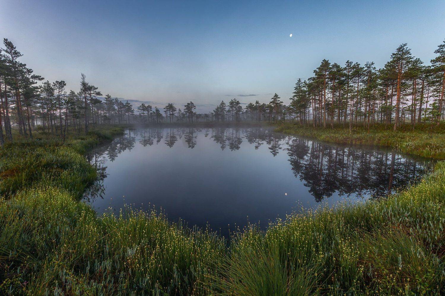 , Елена Маковоз