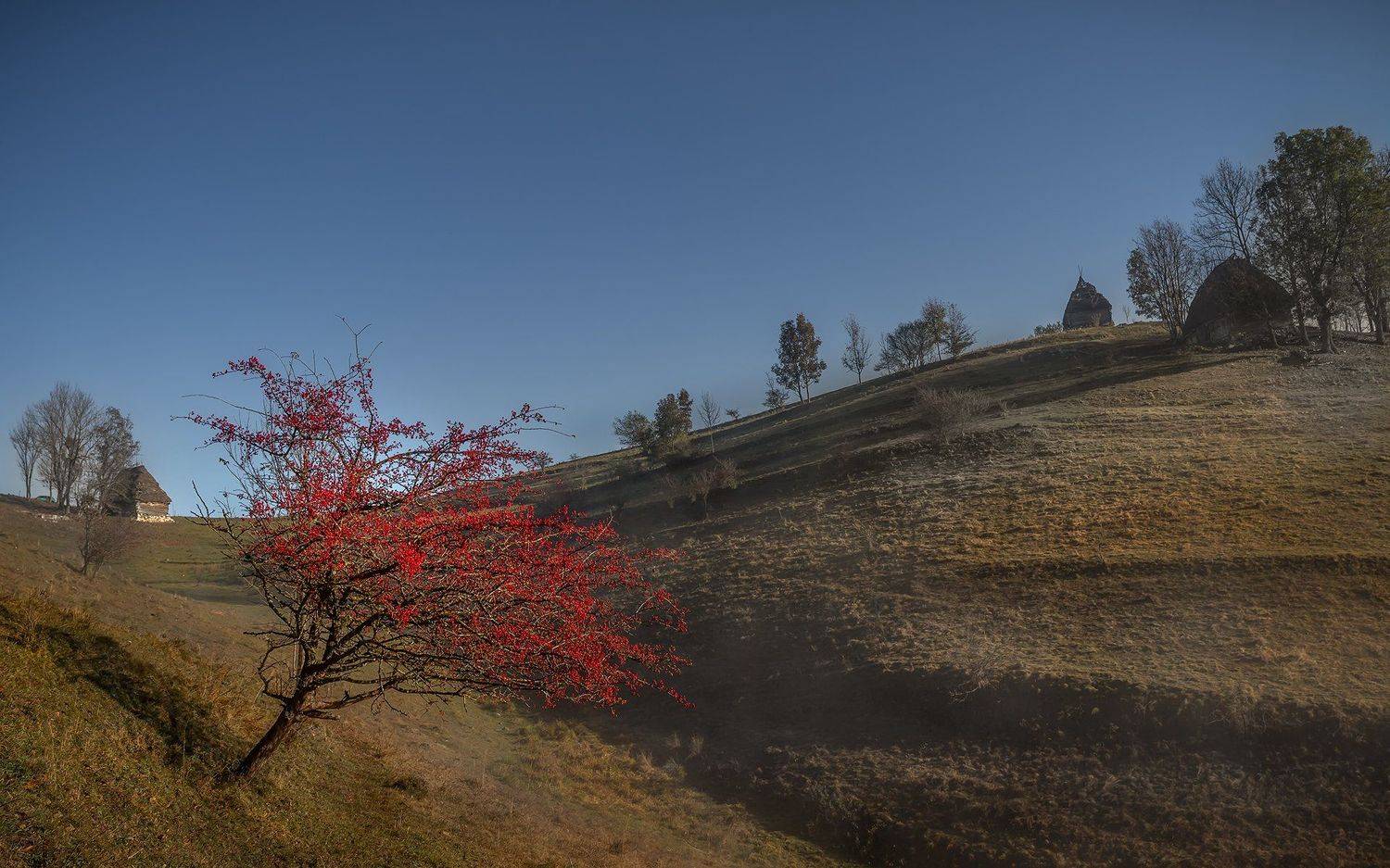 , Елена Маковоз