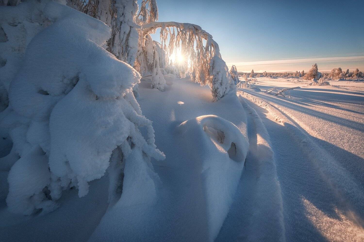 губаха, январь, снег, мороз, холод, лед, деревья, солнце, рассвет, Андрей Чиж
