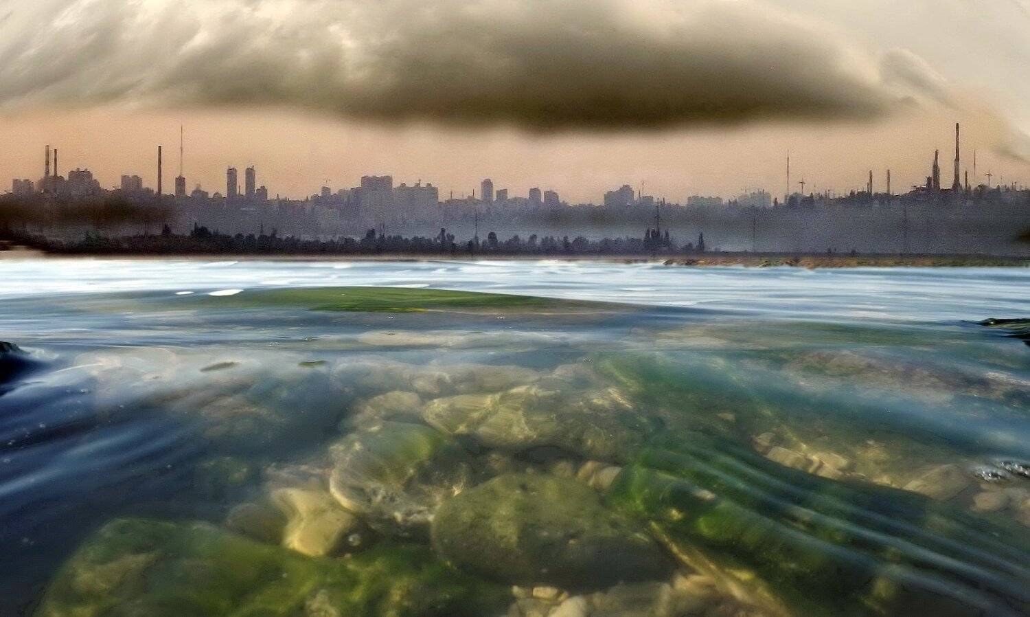 одесса, Сергей Кошелев