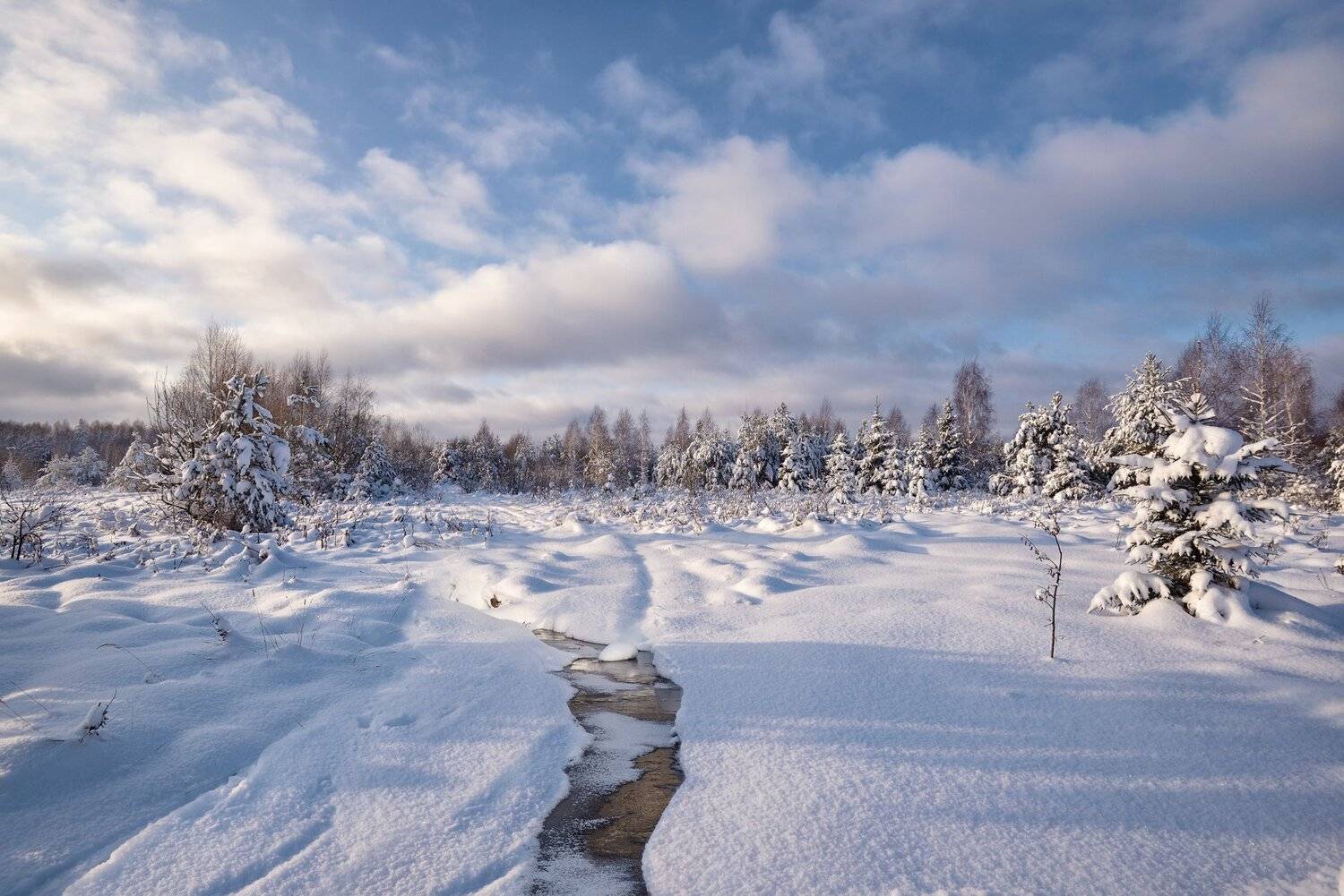 зима,снег,река,мороз,солнце,небо.облака, Виталий Полуэктов