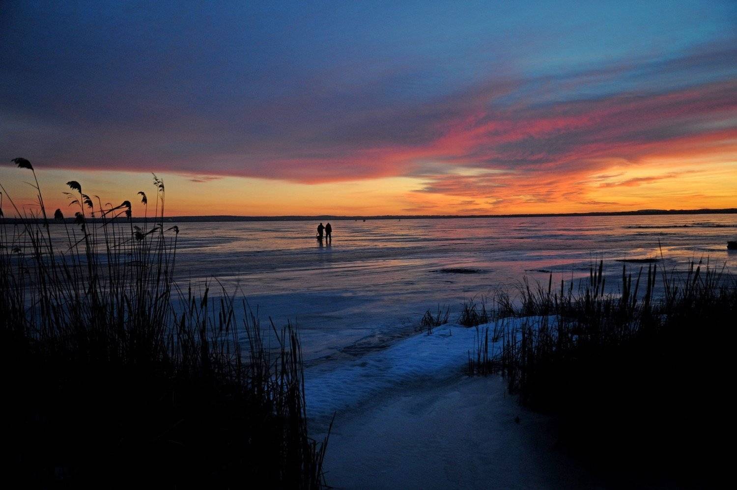, Дарья Васильева