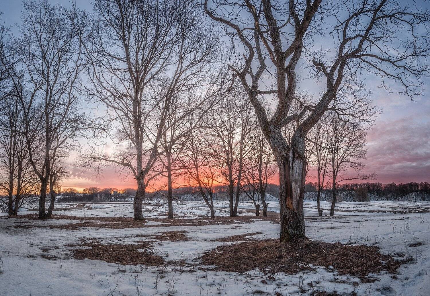, Николай Андреев