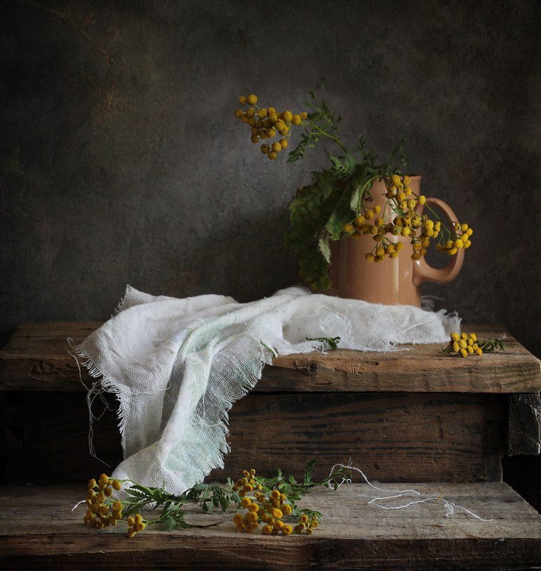 пижма, натюрморт, полевые цветы. Пижма фото превью