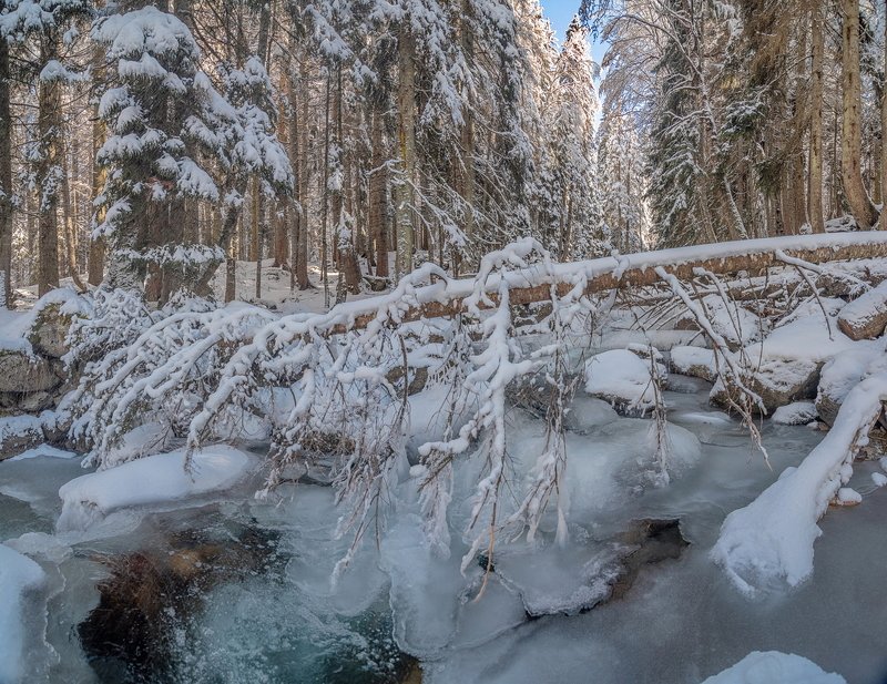 МУРУДЖУ В ЛЕДЯНОМ ПЛЕНУ фото превью