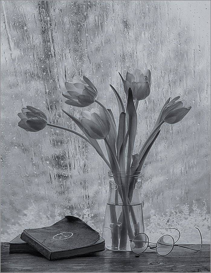 , Stein Georg