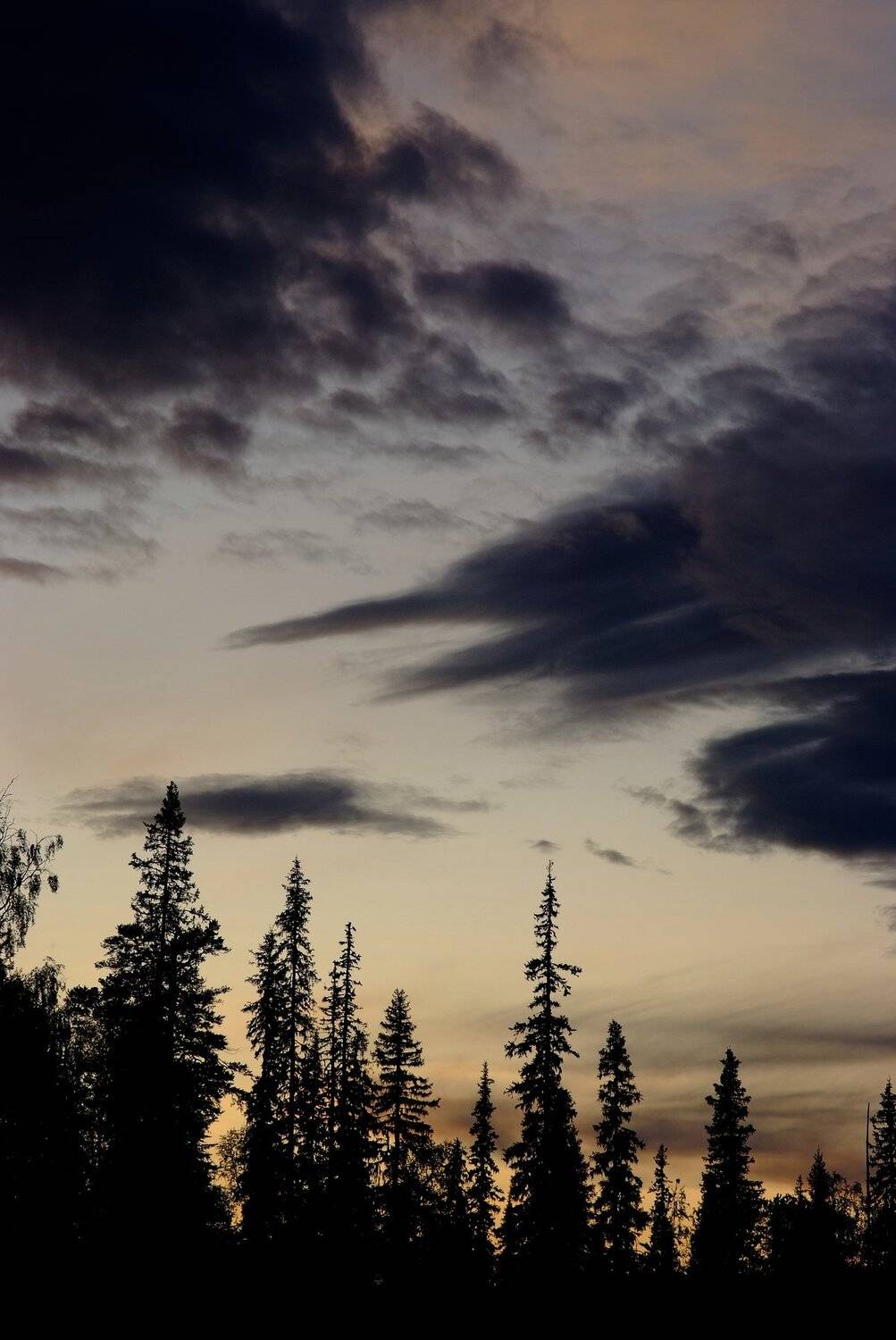 карелия, фото, пейзаж, ночь, паанаярви, Karasev Pavel