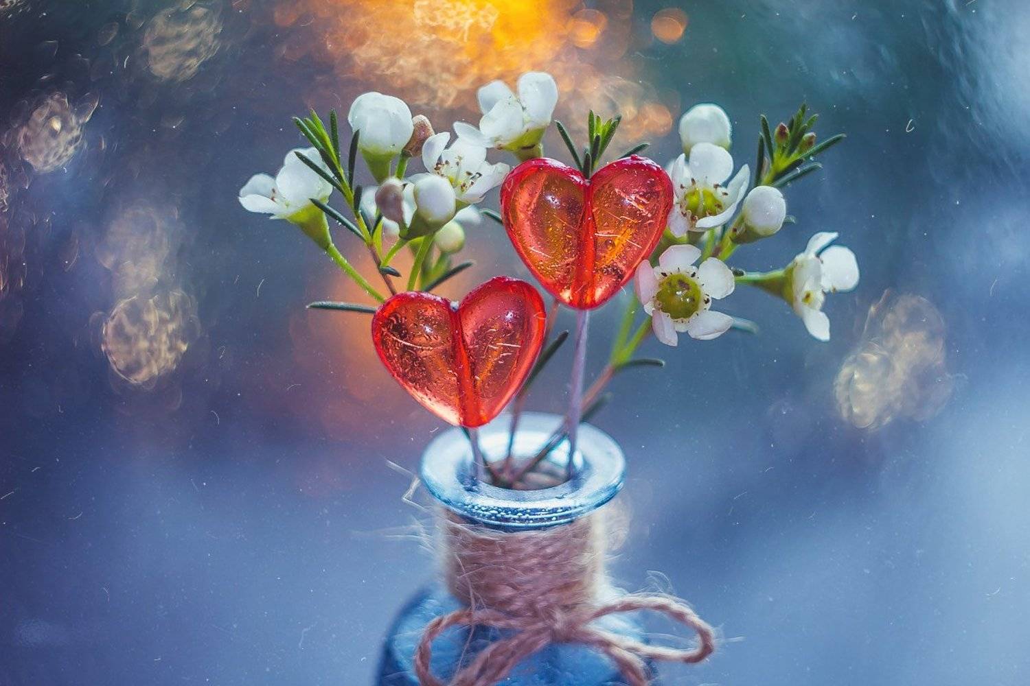 цветы, сердце, натюрморт, боке, прозрачный, брызги, вода, закат, солнце, бутылки, банки, стекло, красивый, зима, Алла Семенова