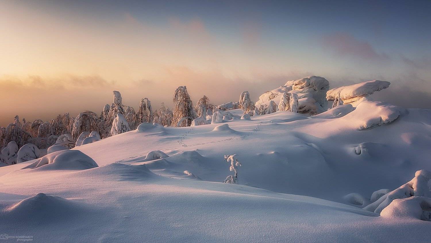 , Антон Кошетаров