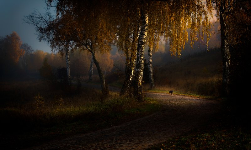I go around Warmia фото превью