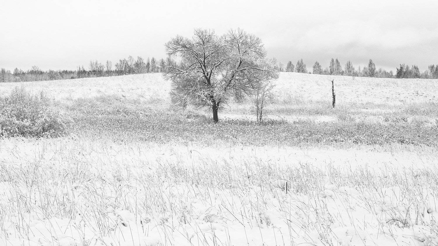 , Землянский Сергей