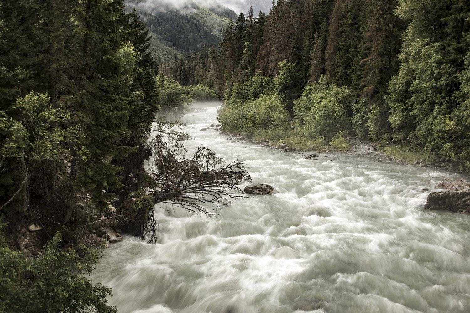 , Зоя Малхова