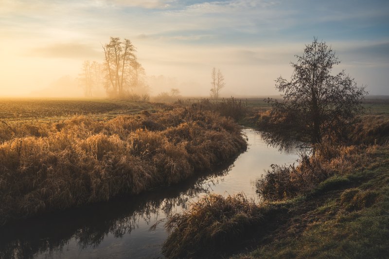 Typical central Polish landscape фото превью