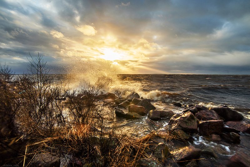 Мгновение фото превью