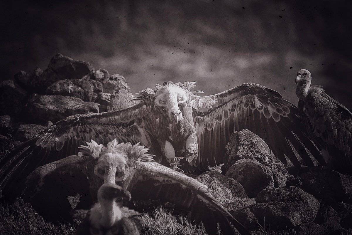 , Георги Славов