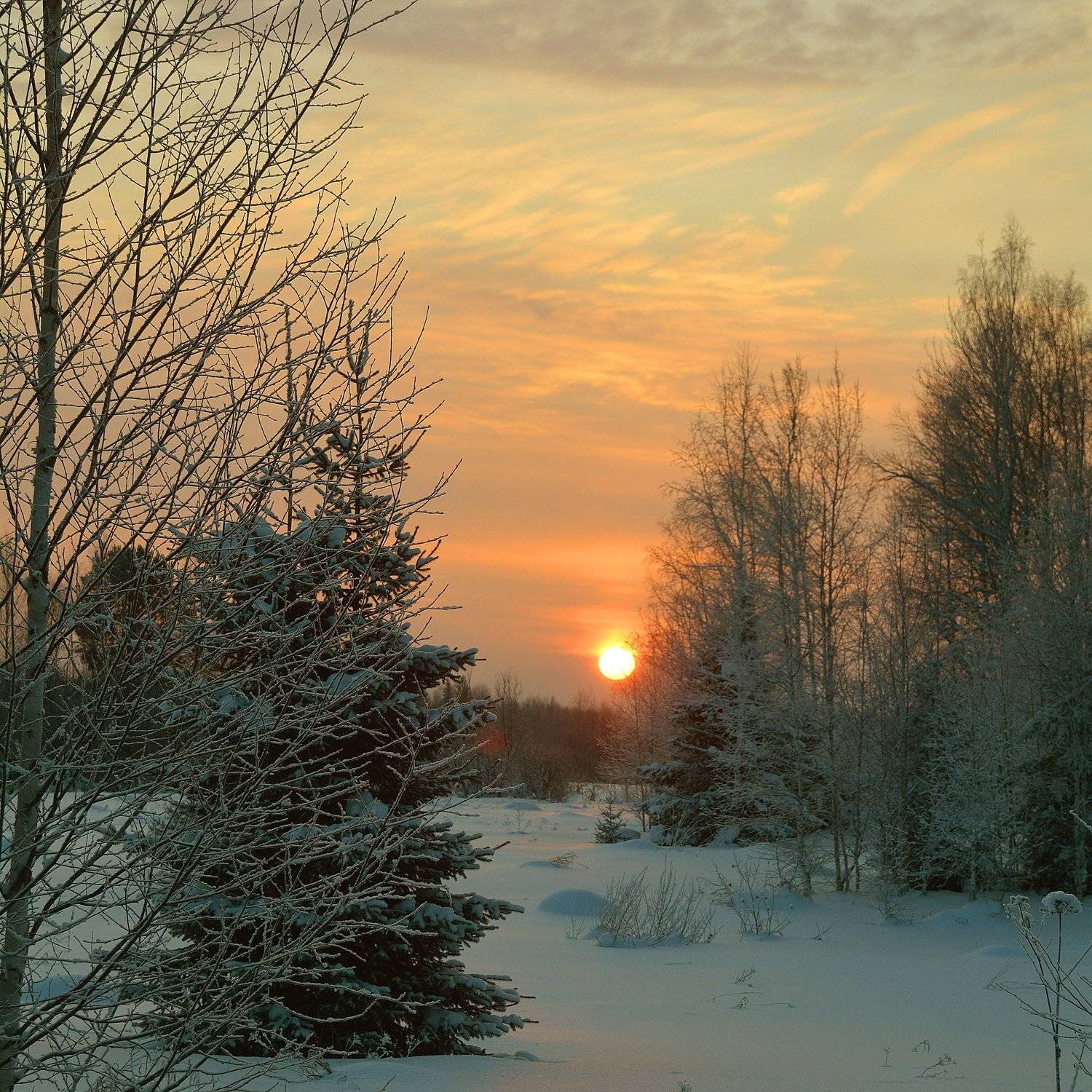 , Михаил Белоусов