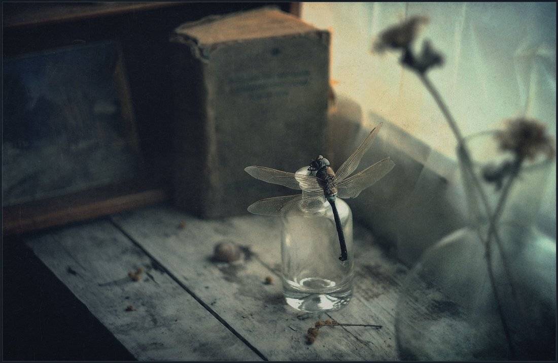 , Александр Хромеев