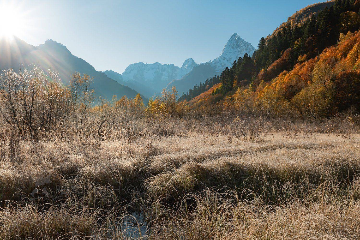 горы, гора, домбай, иней, рассвет, осень, берёза, гоначхирском ущелье, тебердинский государственный природный биосферный заповедник. кавказ, хребет, вершина, трава,, Лашков Фёдор