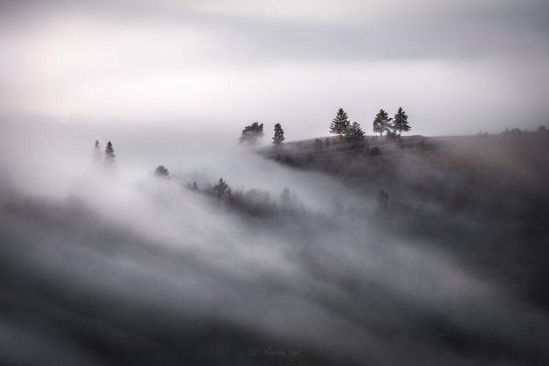 Wrapped in mist. фото превью
