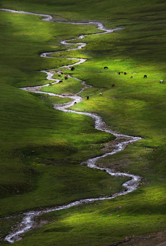 Sary - Jaz Valley фото превью