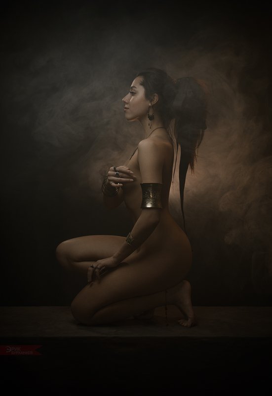 nu, nude, ню портрет в кофейных тонах фото превью