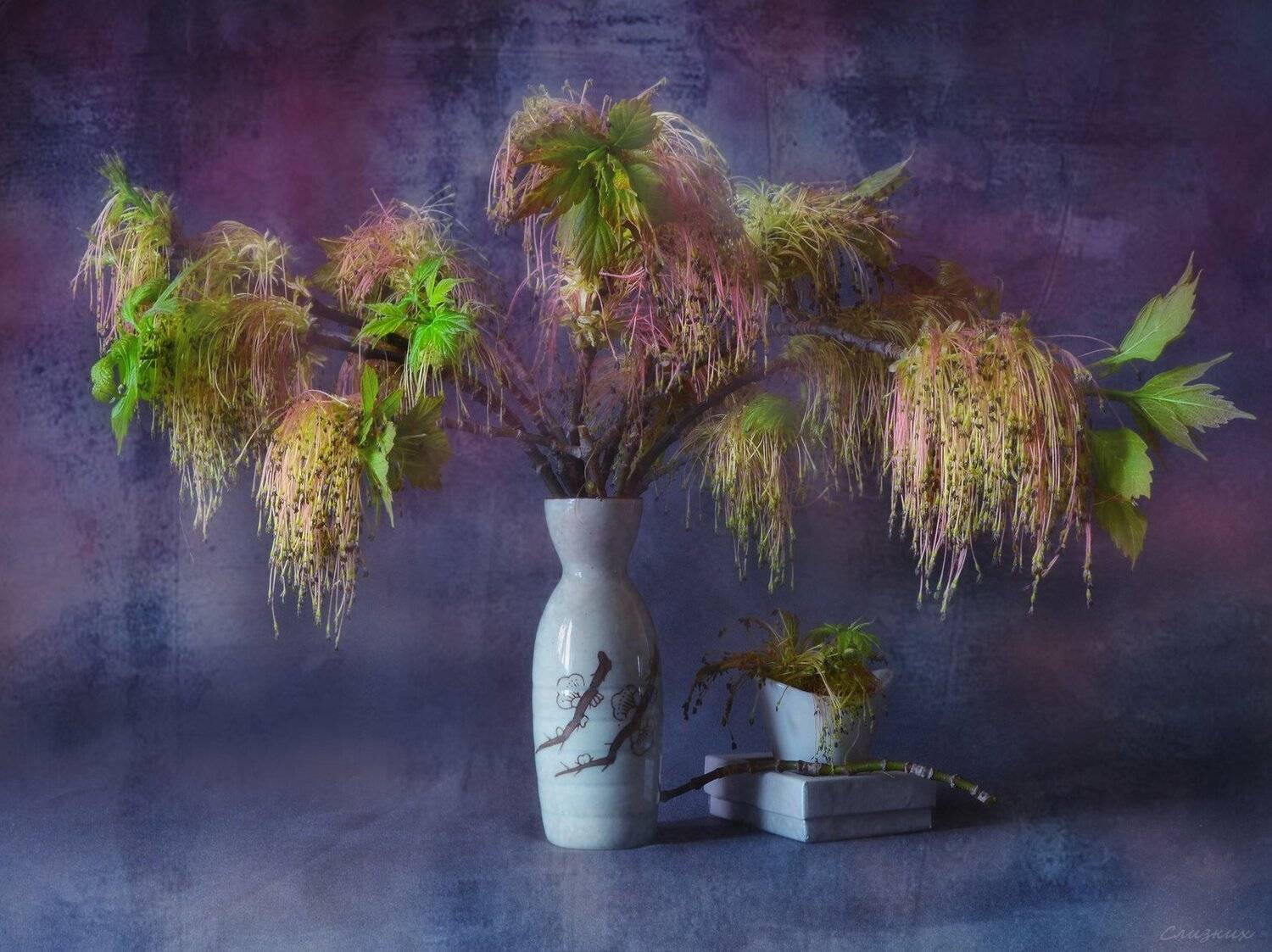 натюрморт,композиция,свет,букет,клён,ваза, Инаида