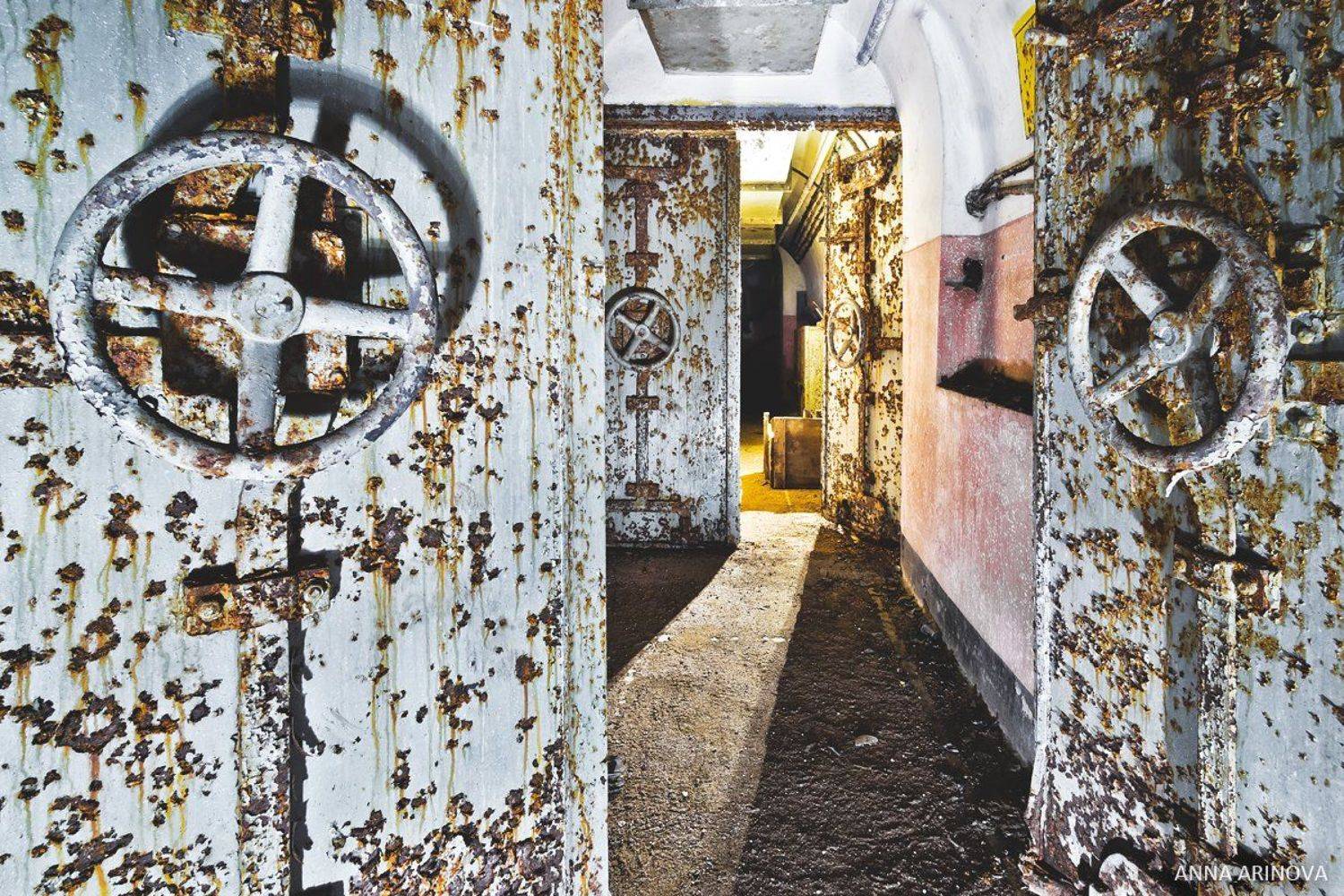 , Анна Аринова