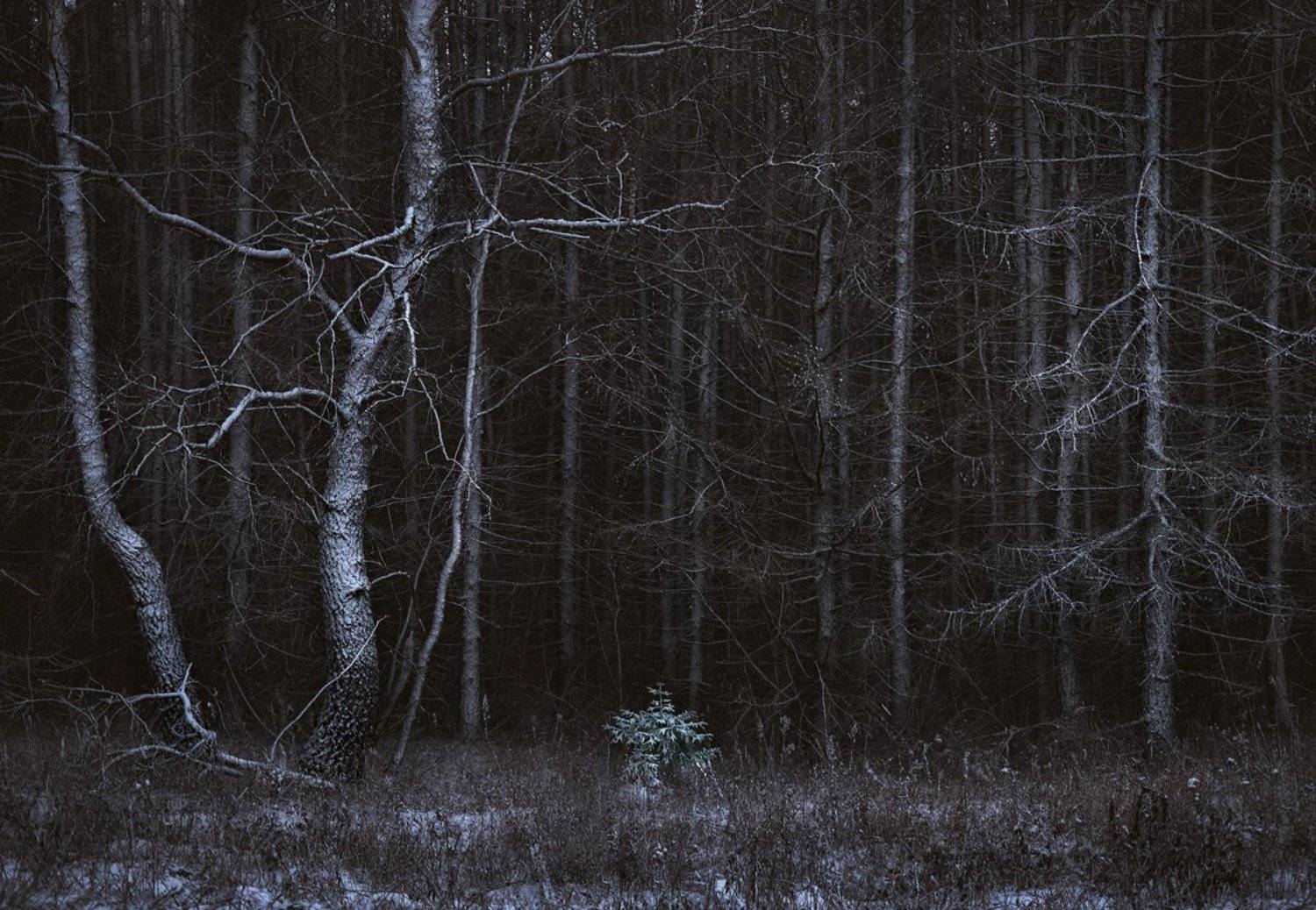 , Баранов Олег