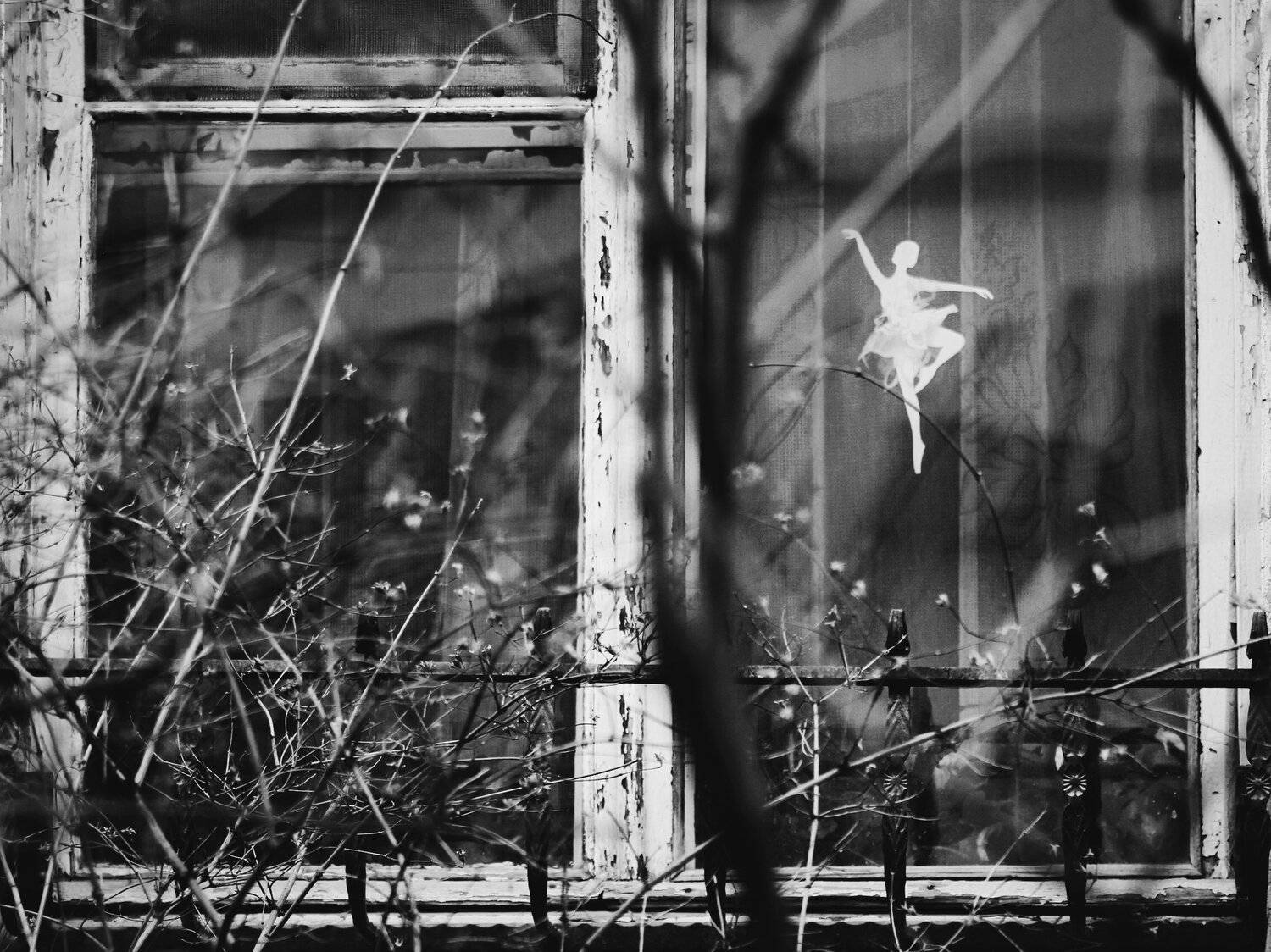 , Синицына Юлия