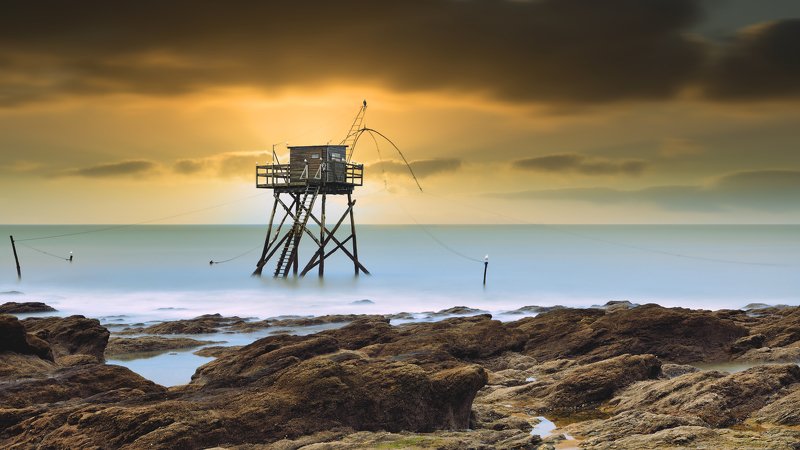 Moja фото превью