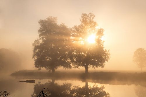 Morning in the Odra River Valley