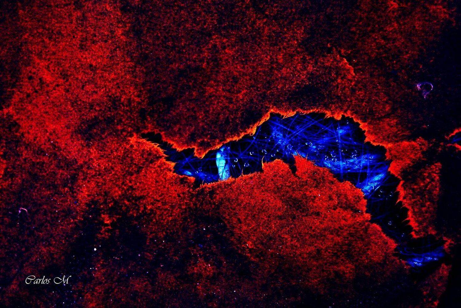 Abstraction, Still Life, Macro, Carlos Machado