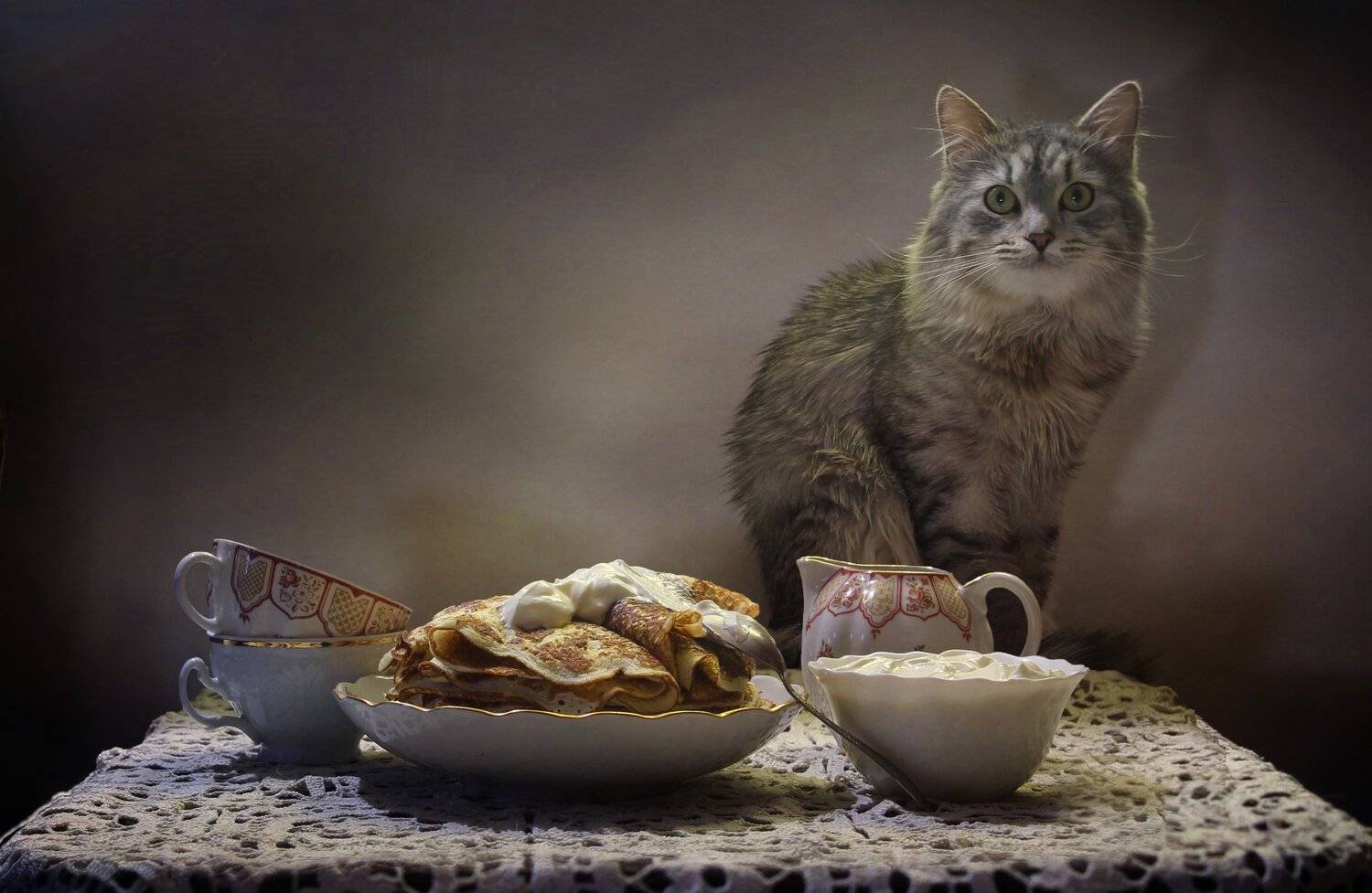 кот, животные, масленица, блины, сметана, весна, март, Ковалева Светлана