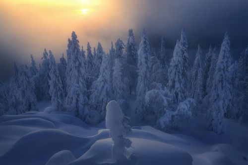 С первым днем уральской весны :-)