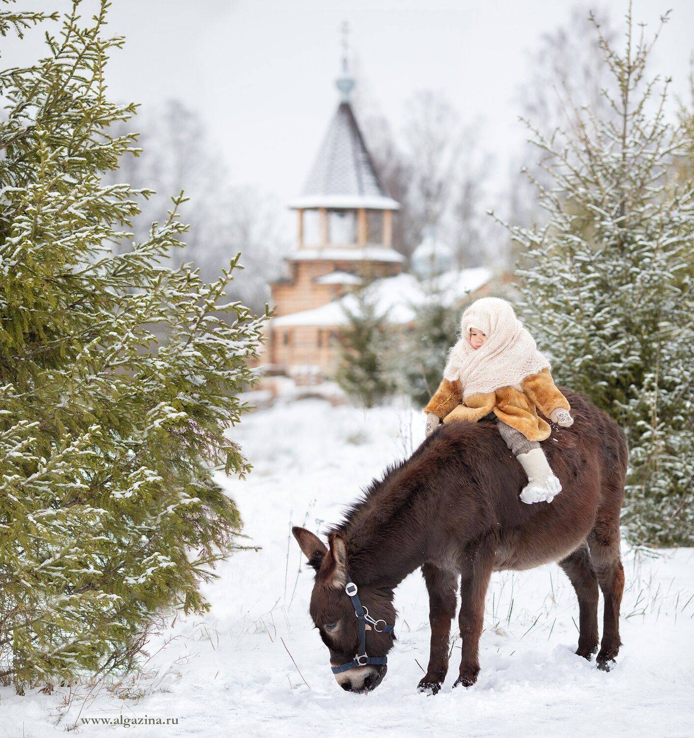 , Елена Алгазина