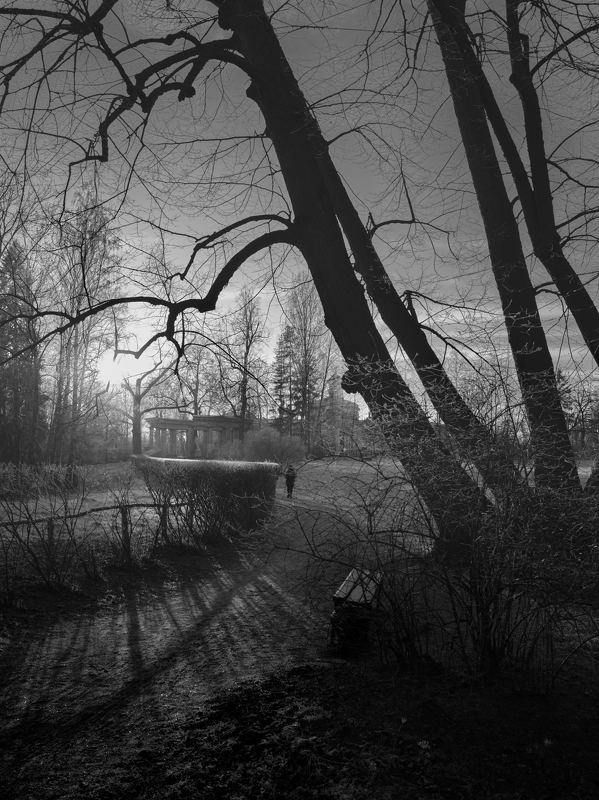 павловск, солнце, мороз 8. фото превью