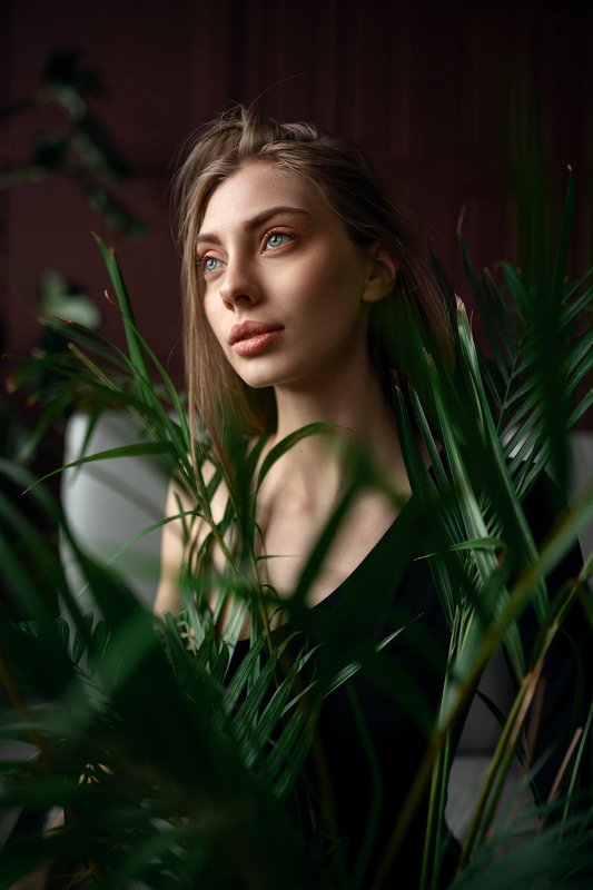 фото превью