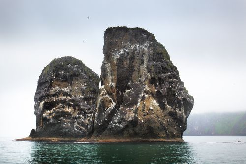 Тихий океан. Побережье Камчатки...