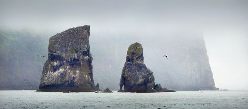Тихий океан. Побережье Камчатки...