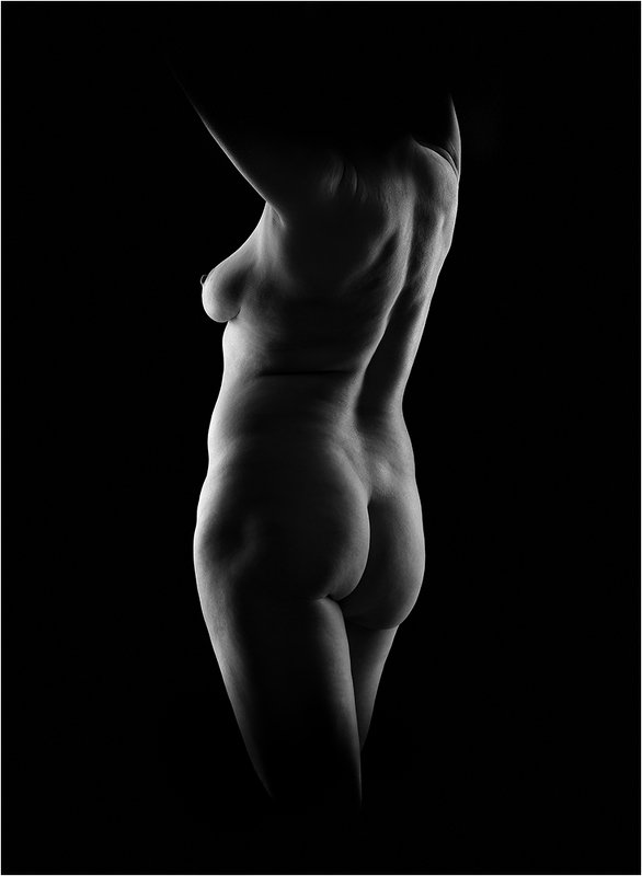 Силуэт - IV фото превью