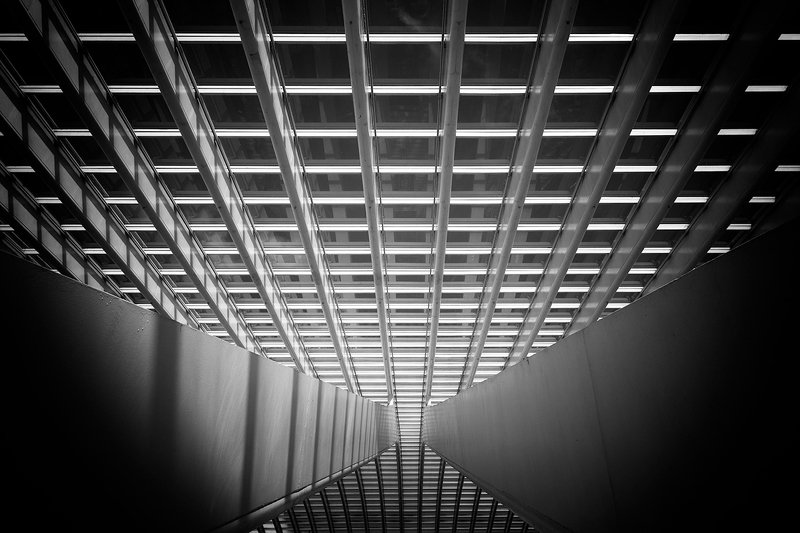 La-gare-des-Guillemins-3 фото превью