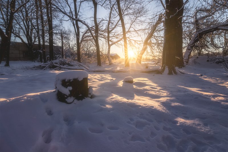 псков, россия, утро, рассвет, солнце, снег, мороз Последний день зимы. Солнечное утро фото превью