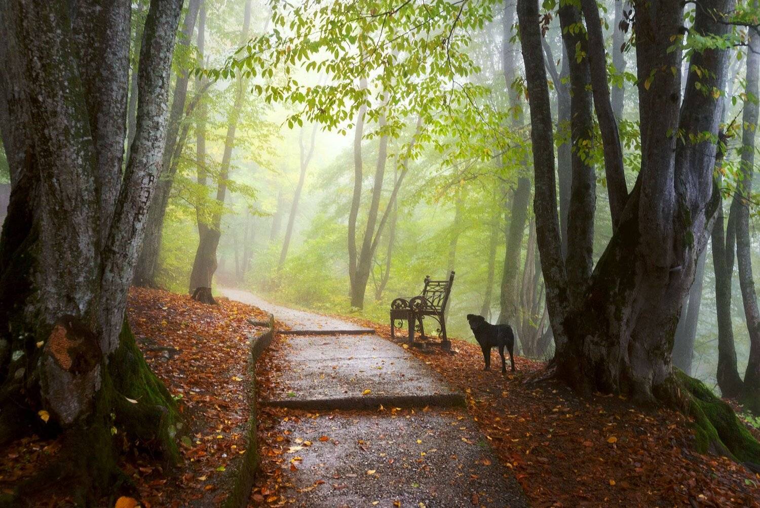 , Шевченко Юрий